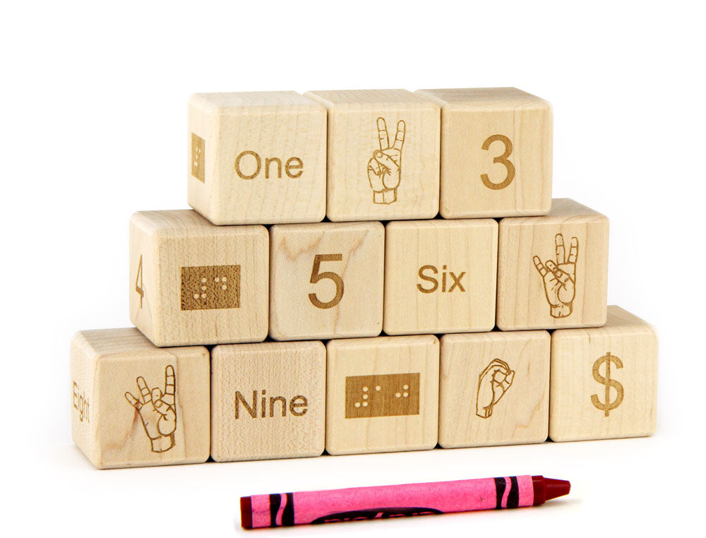 12 pc. Braille-Sign Language-Number Blocks