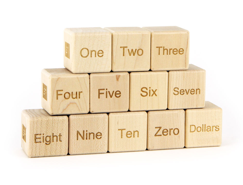 12 pc. Braille-Sign Language-Number Blocks